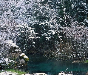 Jezioro, Skały, Las