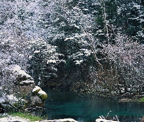 Las, Skały, Jezioro