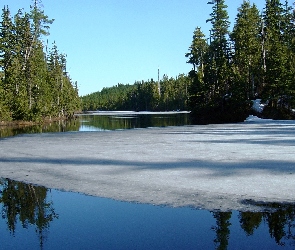 Las, Jezioro