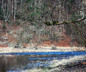 Dunajec, Rzeka, Pieniny, Wiosna, Las, Góry, Skarpa