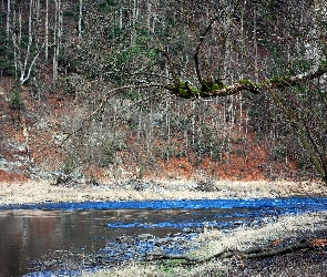 Pieniny, Góry, Wiosna, Las, Rzeka, Dunajec, Skarpa