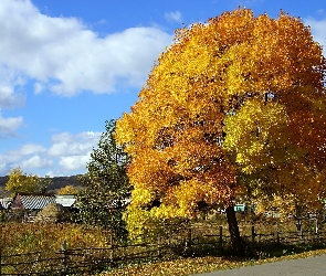 Jesień, Wieś, Pola, Chmury, Drzewa