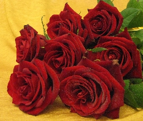 Czerwonych, Róż, Bukiecik