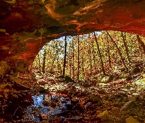 Skały, Strumyk, Las