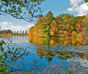 Światło, Przebijające, Las, Jesień, Jezioro, Obłoki