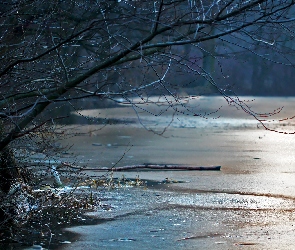 Przedwiośnie, Lód, Drzewa, Jezioro