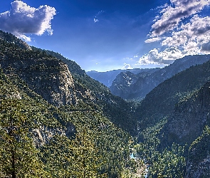Las, Góry, Stan Kalifornia, Stany Zjednoczone, Park Narodowy Yosemite, Rzeka