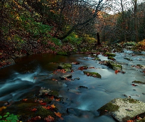 Kamienie, Liście, Rzeka