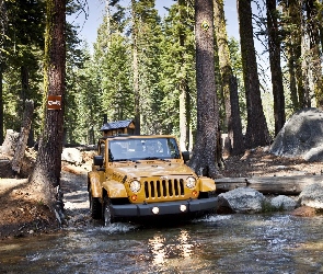 Jeep, Kamienie, Las, Bagna, Wrangler