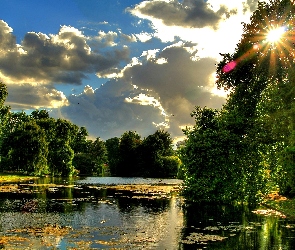 Staw, Słońca, Park, Promienie