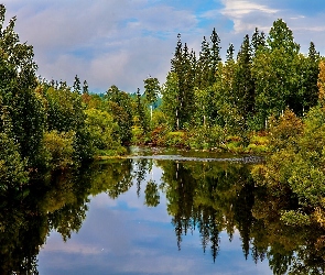 Las, Odbicie, Obłoki, Jezioro, Jesień