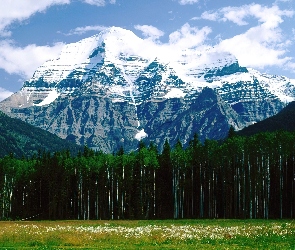 Góra, Las, Kanada