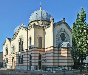 Drzewo, Synagoga, Bazylea, Domy