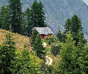 Dom, Droga, Alpy, Tyrol, Łąka, Góry, Las