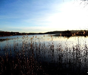 Błękitne, Trawy, Jezioro, Niebo