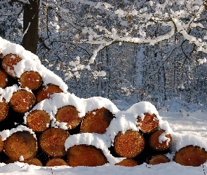 Zima, Śnieg, Pocięte, Drewno, Las