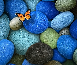 Motyl, Pomarańczowy, Szare, Monarch, Kamienie, Niebieskie , Brązowe