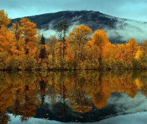 Odbicie, Drzewa, Jezioro, Góry