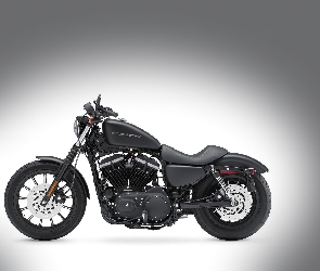 Harley Davidson Sportster Iron 883