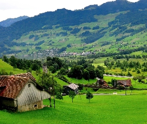 Domy, Szwajcaria, Lasy, Góry