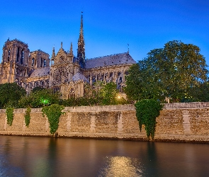 Katedra, Paryż, Dame, Notre