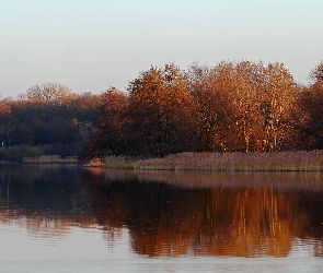 Jezioro, Przedwiośnie, Drzewa