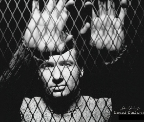 twarz, ręce, David Duchovny