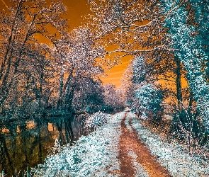 Zima, Słońca, Drzewa, Rzeka, Ścieżka, Zachód