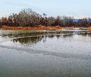 Tatarak, Drzewa, Jezioro