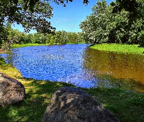 Rzeka, Las, Kamienie