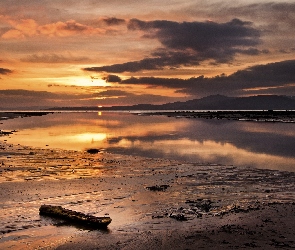 Jezioro, Zachód Słońca, Kłoda, Plaża