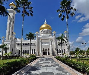 Aleja, Meczet, Bandar, Palmy, Begawan, Brunei, Seri