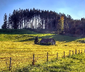 Przebijające, Dom, Pole, Światło, Las, Lato, Łąka