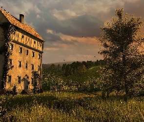 Drzewa, Trawy, Dom, Stary, Zachód, Słońca