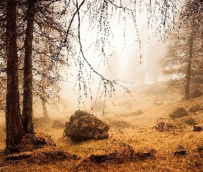 Las, Mgła, Kamienie