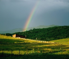 Tęcza, łąka