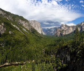 Góry, Las