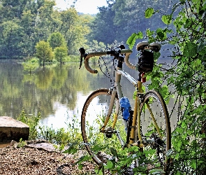 Brzeg, Lasy, Drzewa, Jeziora, Rower