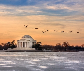 Ptaki, Thomas Jefferson, Waszyngton, Pomnik