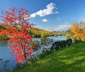 Jesień, Jezioro, Lasy, Vermont