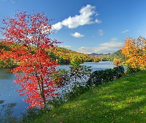 Jezioro, Lasy, Jesień, Vermont