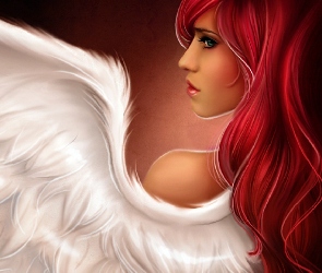 Anioła, Profil