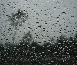 Deszcz, Las, Krople