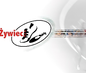 Piwo, Żywiec