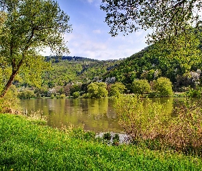 Lato, Rzeka, Lasy, Wzgórza