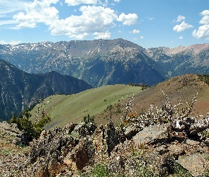 Oregon, Roślinność, Góry, Lato, Łąki, Głazy