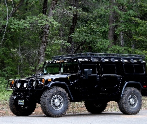 Las, Hummer