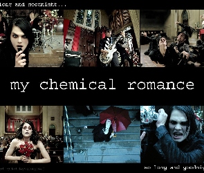 perkusja, gitara , My Chemical Romance, kwiaty