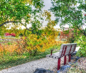 Drzewa, Ławka, Park, Alejka