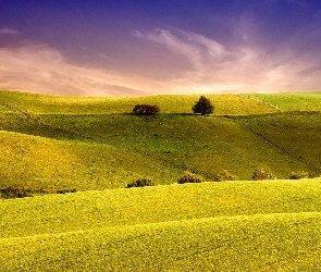 Pole, Niebo, Piękne